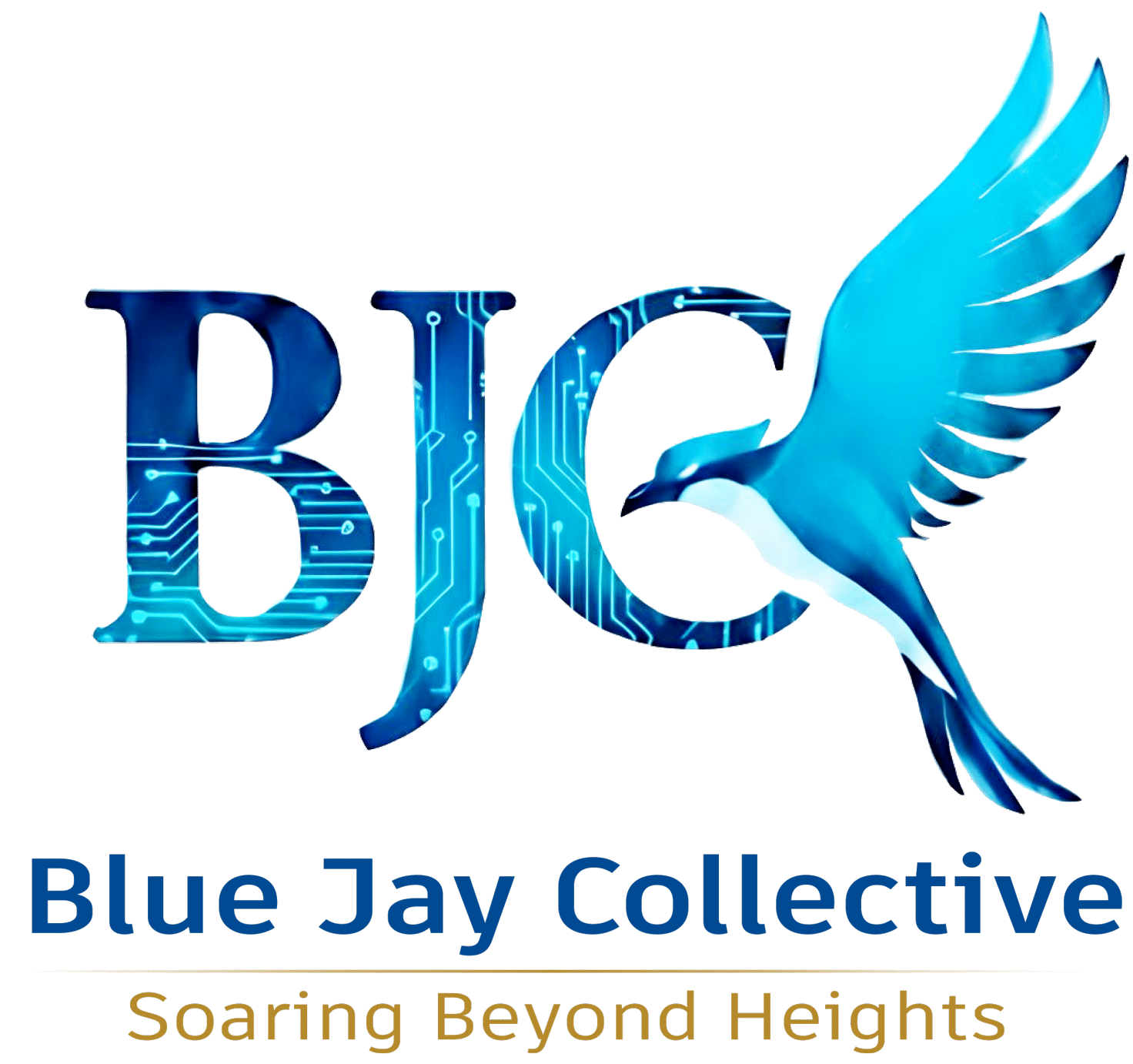 Blue Jays Collective Academy